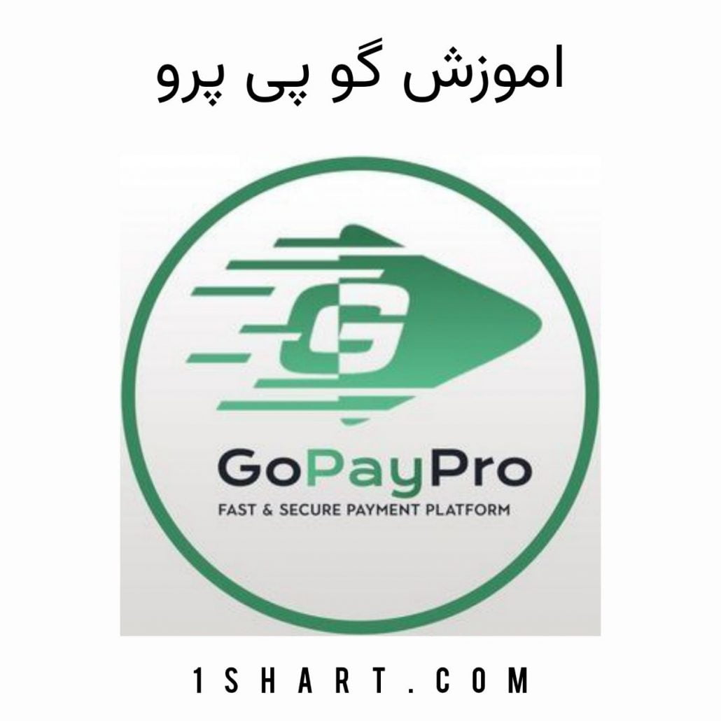 اموزش استفاده از گو پی پرو gopaypro